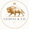 gemini_co